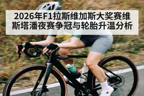 2026年F1拉斯维加斯大奖赛维斯塔潘夜赛争冠与轮胎升温分析